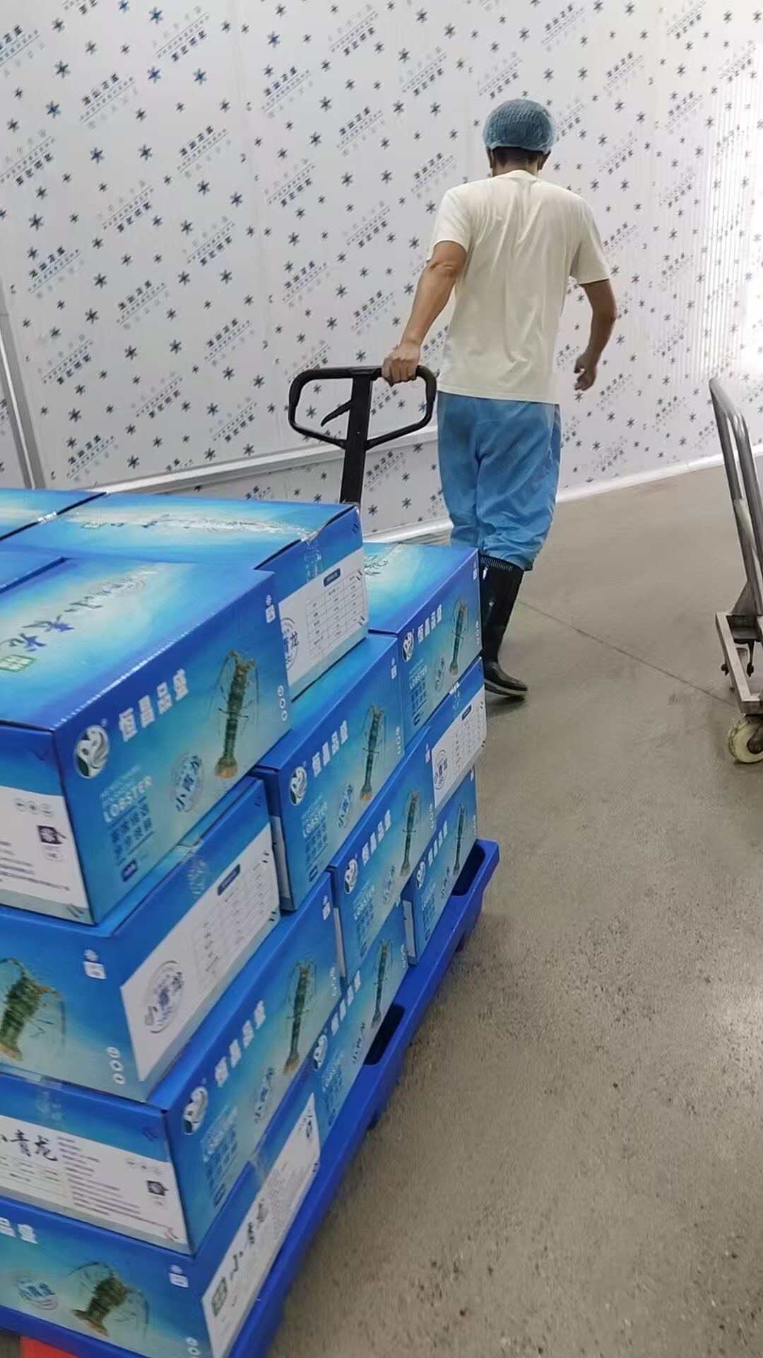 越南源头厂家直达，一手货源！质量保证价钱优惠