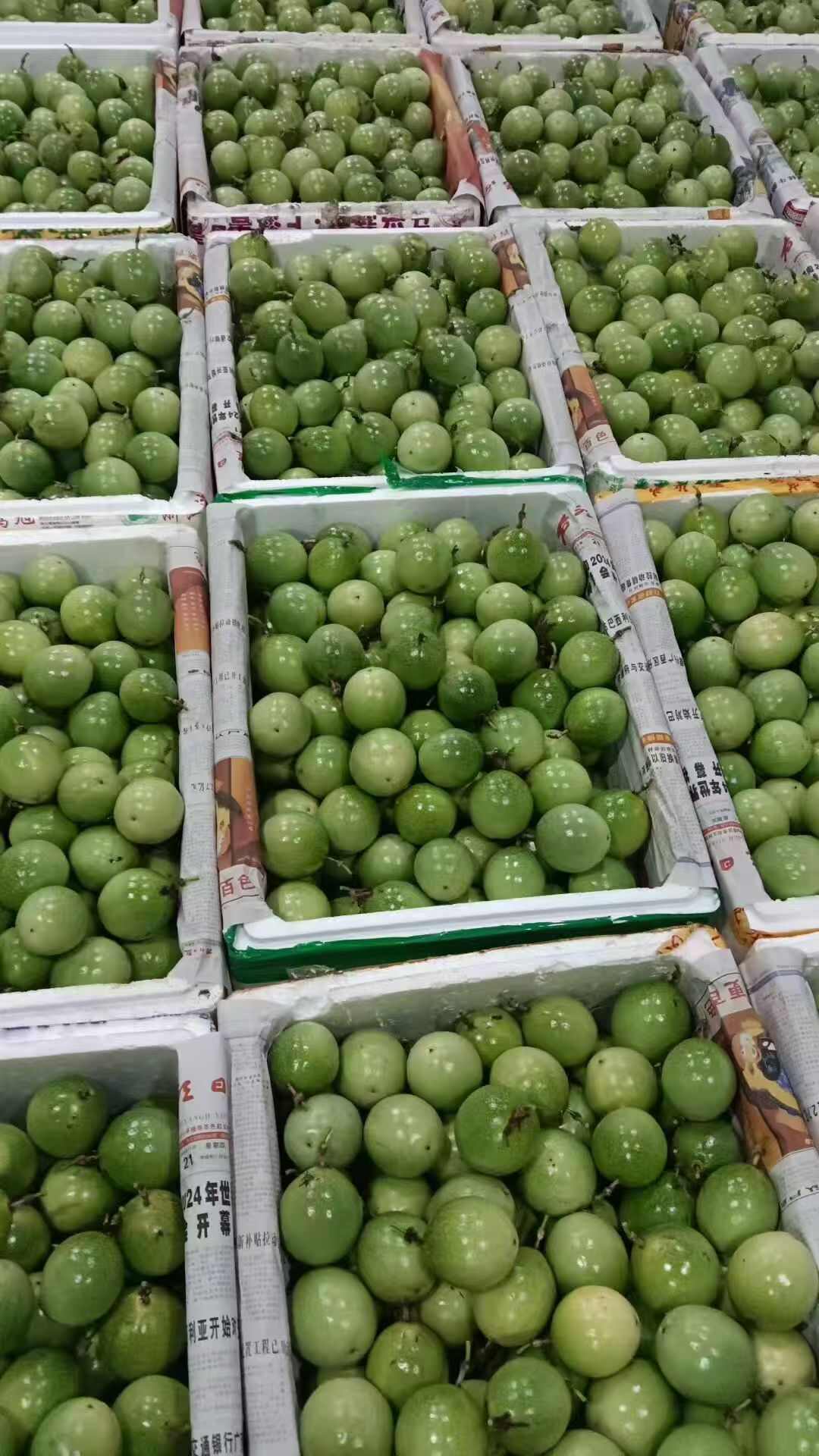 产地直发新鲜采摘钦蜜9号百香果