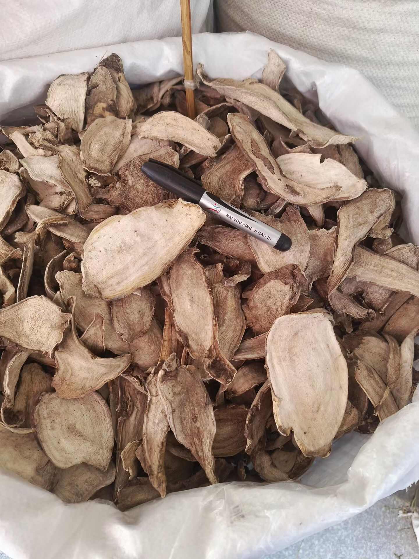 紫茉莉花根，入地老鼠，正品源头批发