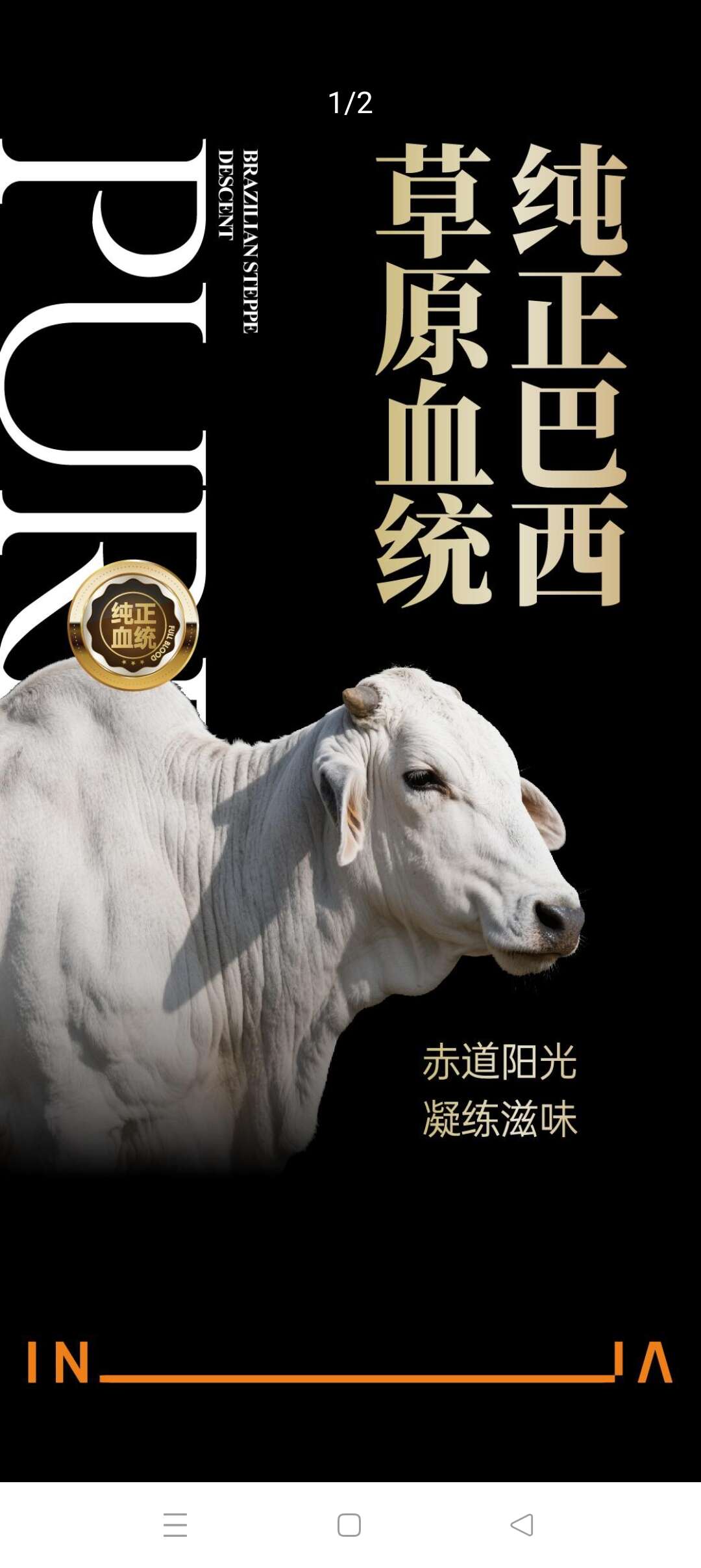 (巴西原切牛肉）西冷牛排200g/片