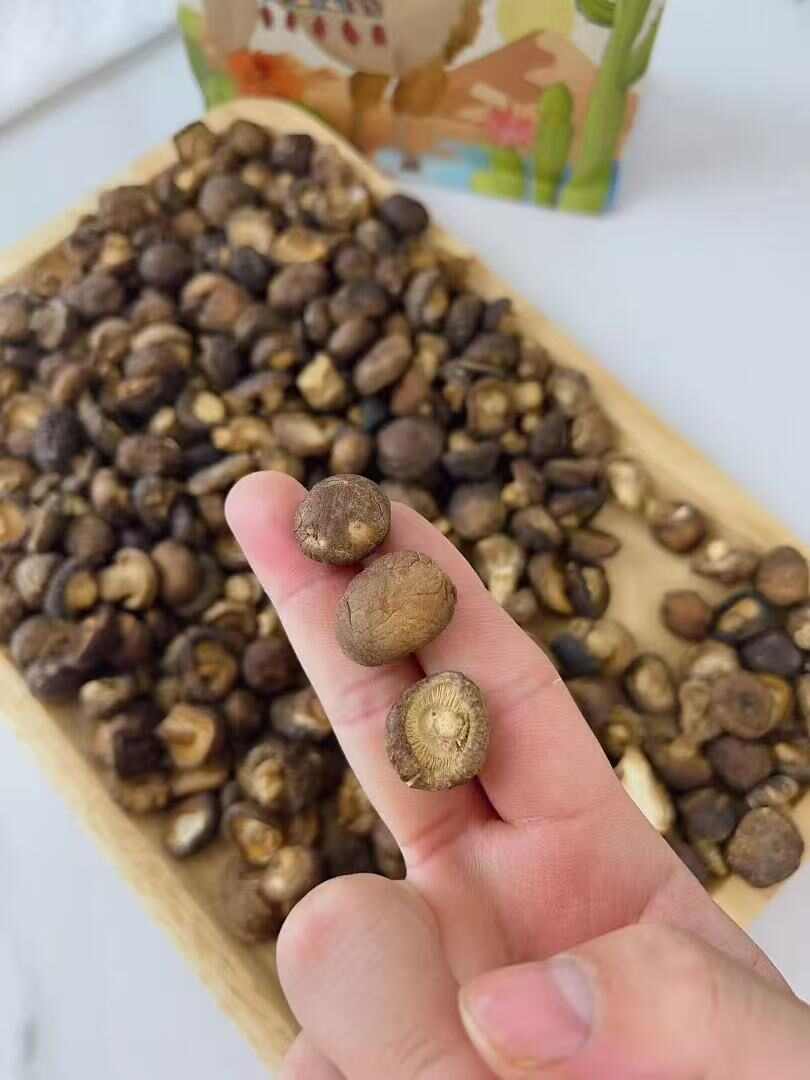 云南小香菇