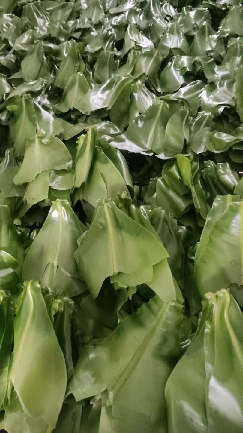 山苏菜
