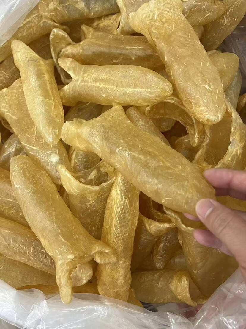 黄花胶筒 囗感胶质好 7头