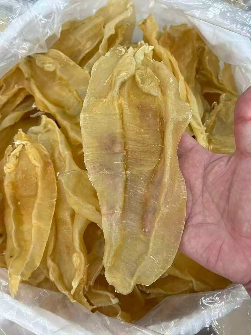 苏里南北海公花胶11头 足干老货 囗感胶质好营养价值高