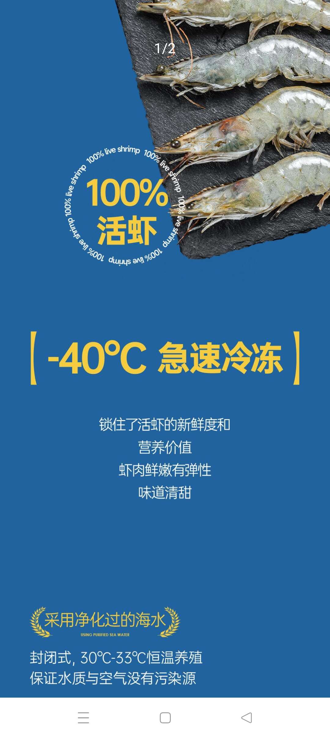 (厄瓜多尔白虾）严选(30_40）1.65kg/盒批发