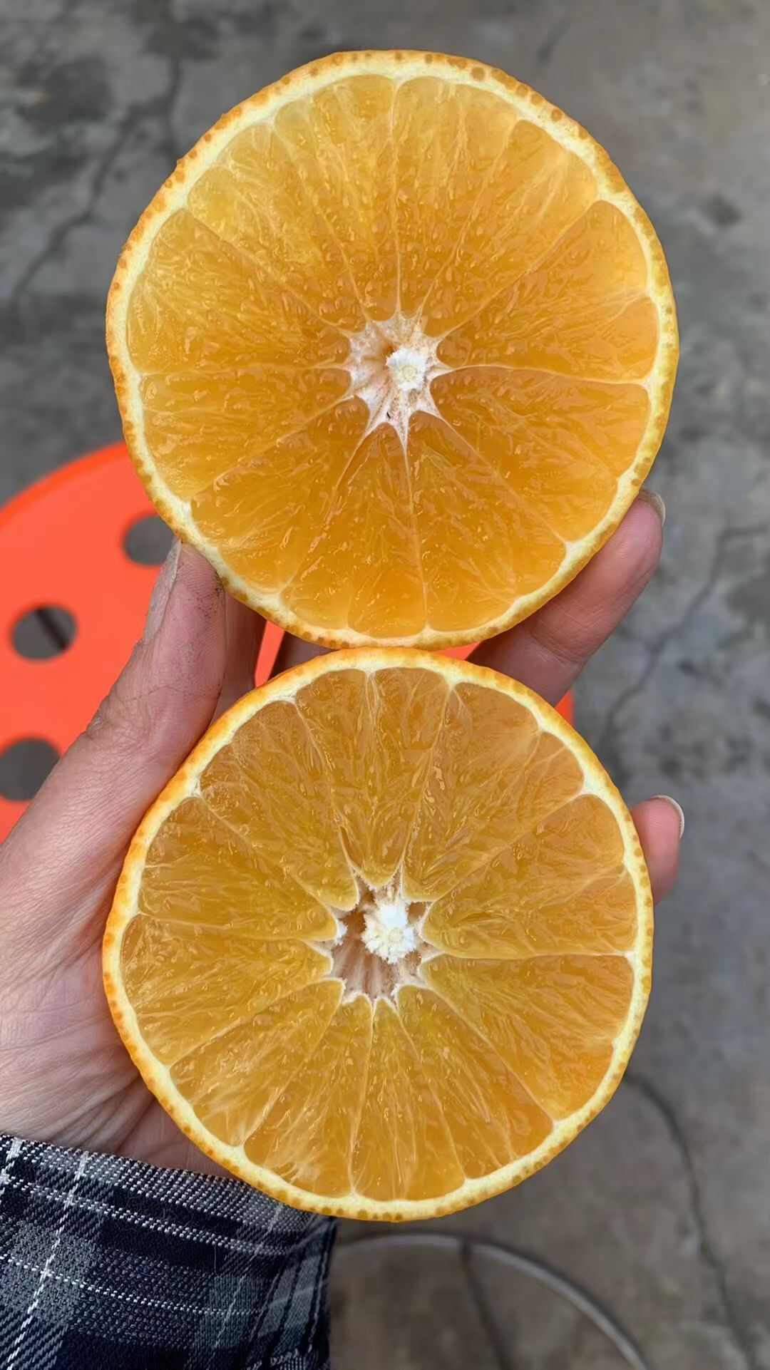 爱媛橙/耙耙柑等，量大。皮张好看，甜度足