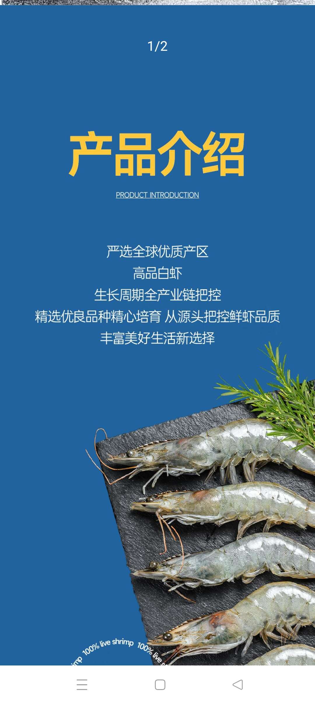 (厄瓜多尔白虾）严选(30_40）1.65kg/盒批发