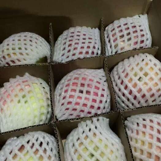 陕西红富士基地电商一件发货 24小时揽收发货日出10000+