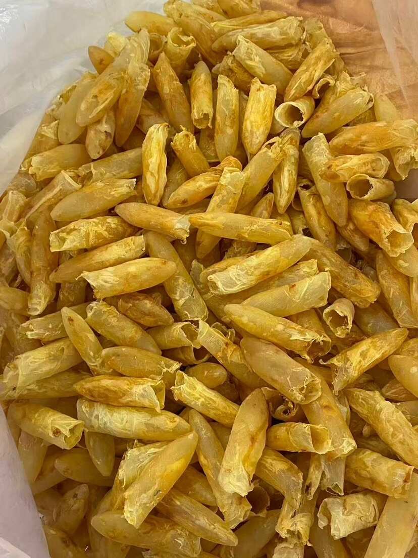 60头 咸水筒花胶鱼鳔营养滋补品
