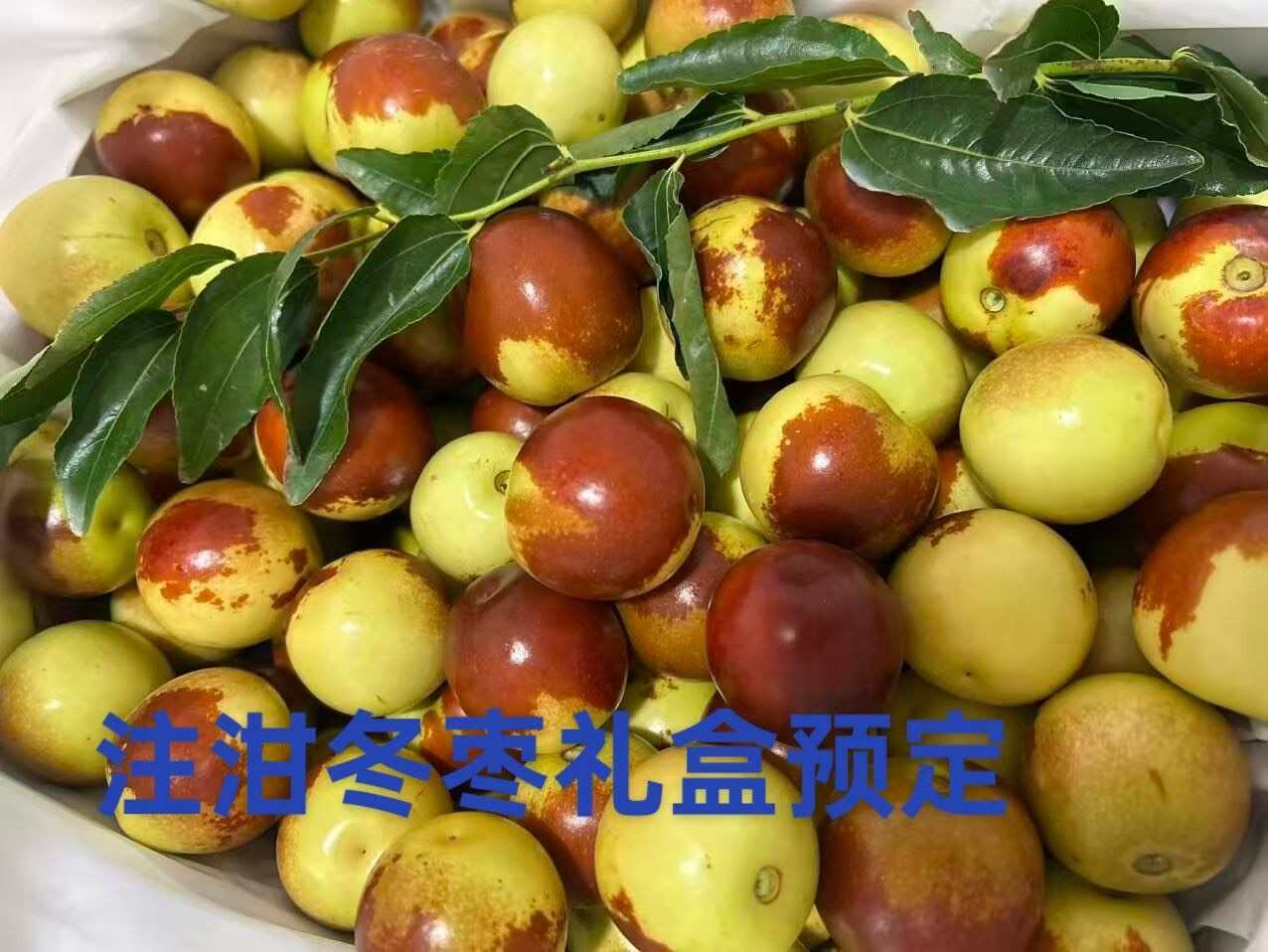 陕西泔河冬枣，泔河岸边高海拔滋养，每一颗都甜润爆汁