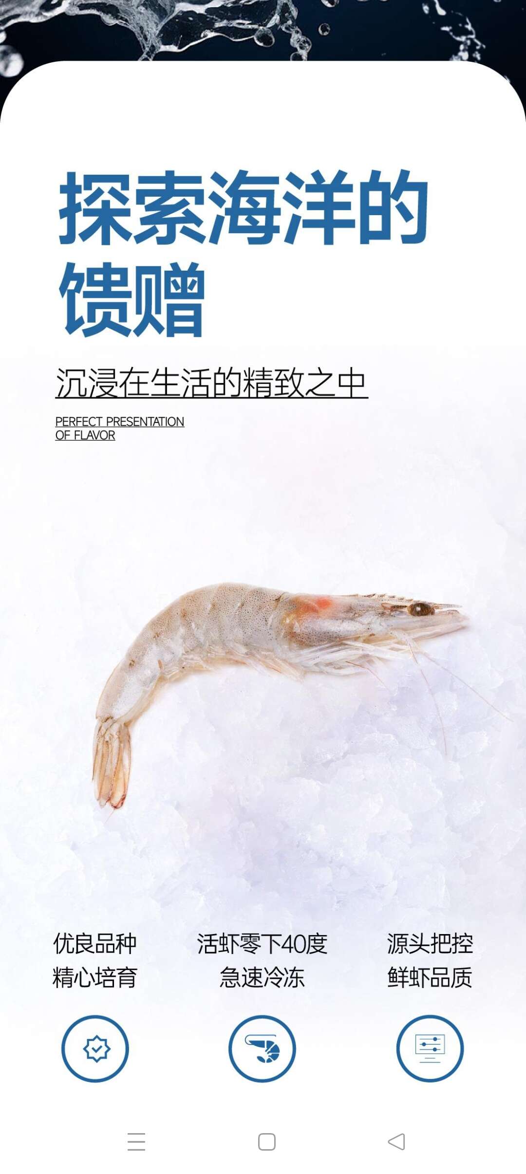(厄瓜多尔白虾）严选(30_40）1.65kg/盒批发