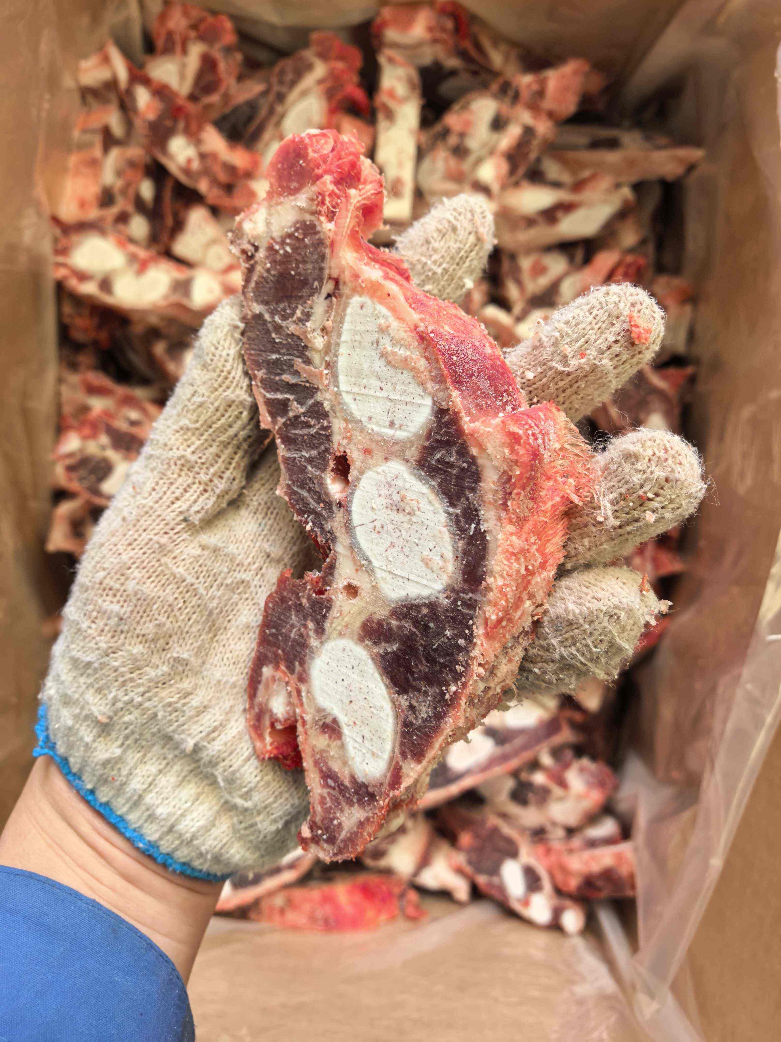 国产满肉牛胸骨切片 肉多价格不高 质量保证