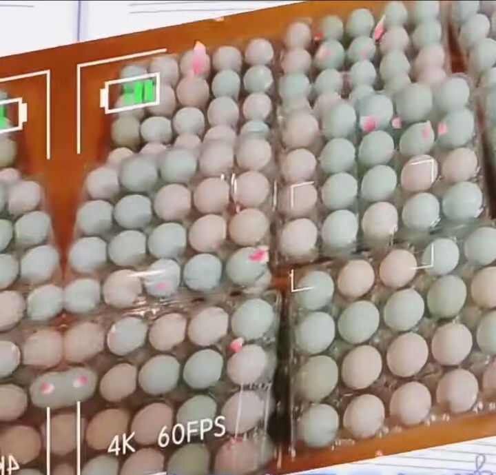 新 新 新 ，鲜  鲜 鲜