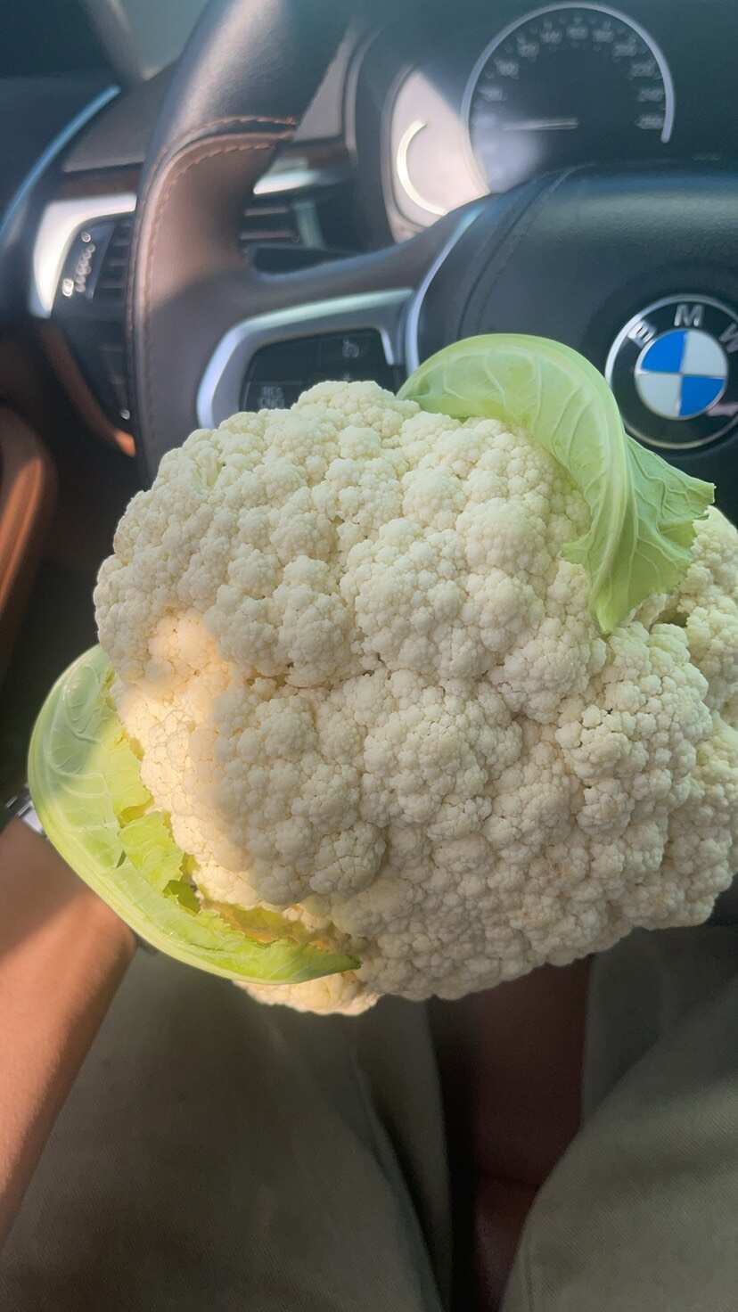 云南松花，长期稳定供应。质量保证