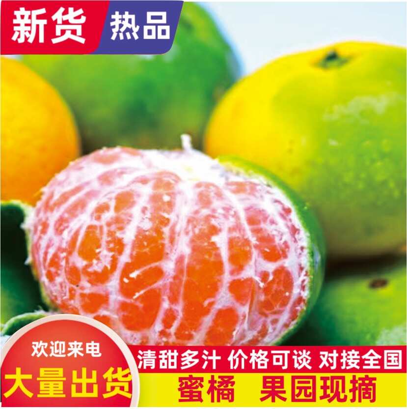 蜜桔 5.5 - 6cm 3两以上