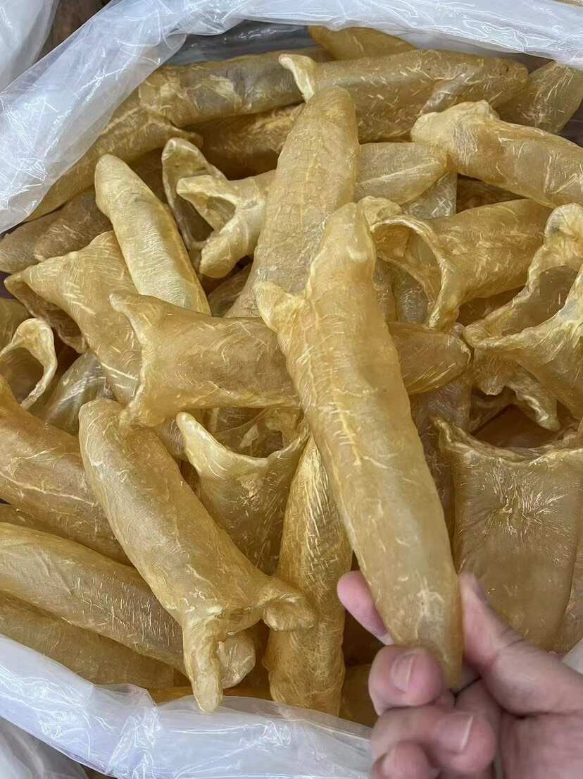 黄花胶筒 囗感胶质好 7头