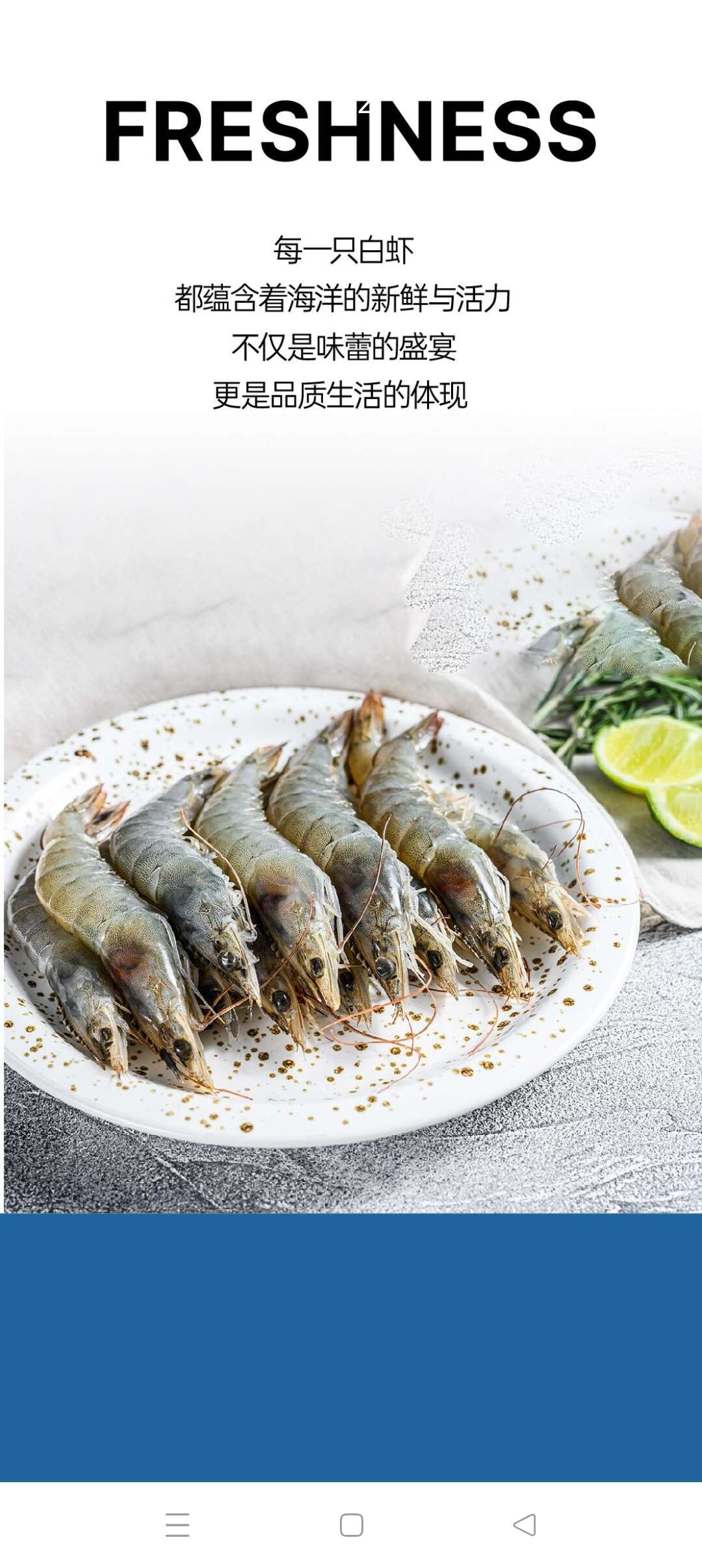 (厄瓜多尔南美）白对虾1.65kg/盒批发