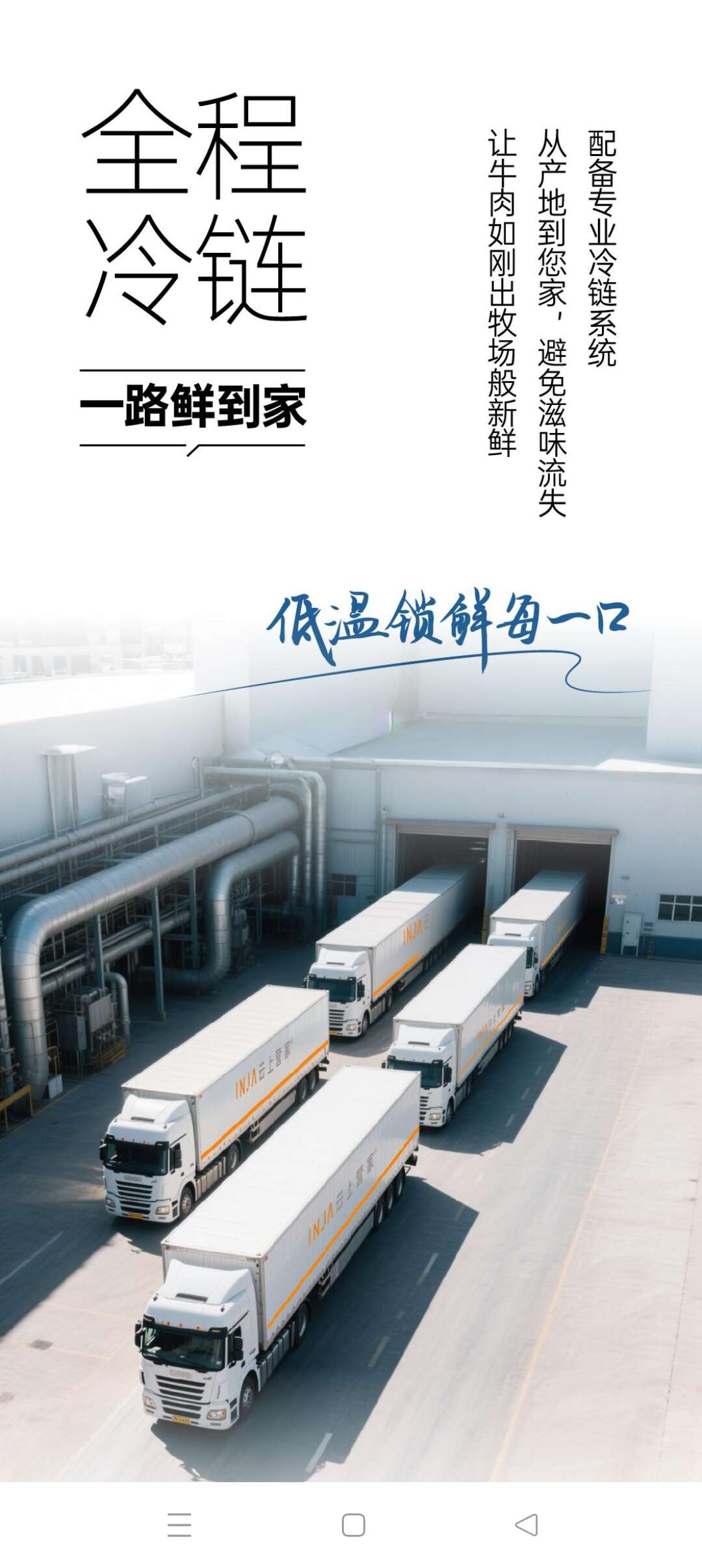 (厄瓜多尔南美）白对虾严选(30-40）1.65kg/盒