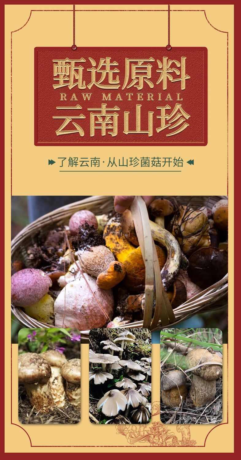 优选云南特产鸡枞菌牛肝菌松茸菌山珍菌子批发