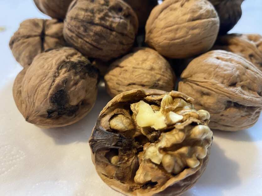 今年新核桃，皮薄，肉大，好剥，香酥，可直接食用，可煲粥…