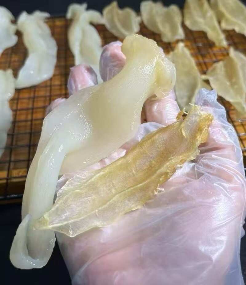 日常滋补的花胶，强烈推荐这款天然安南鳘胶