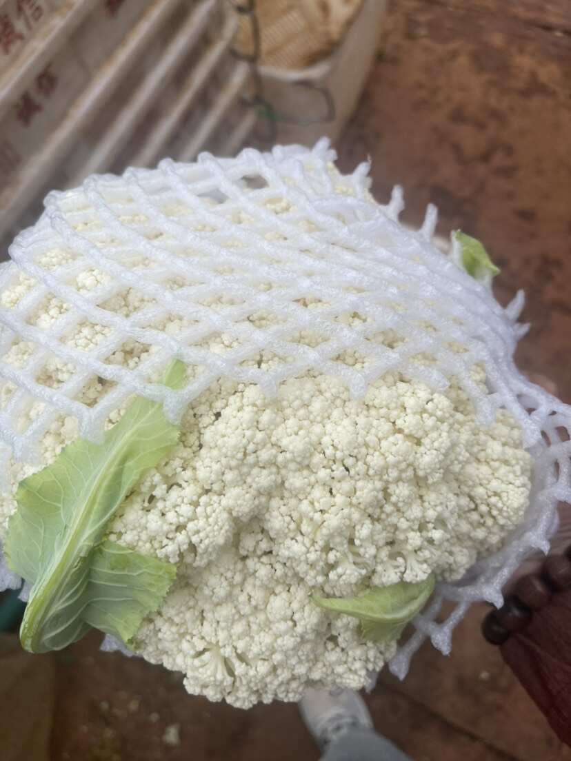 云南松花，长期稳定供应。质量保证