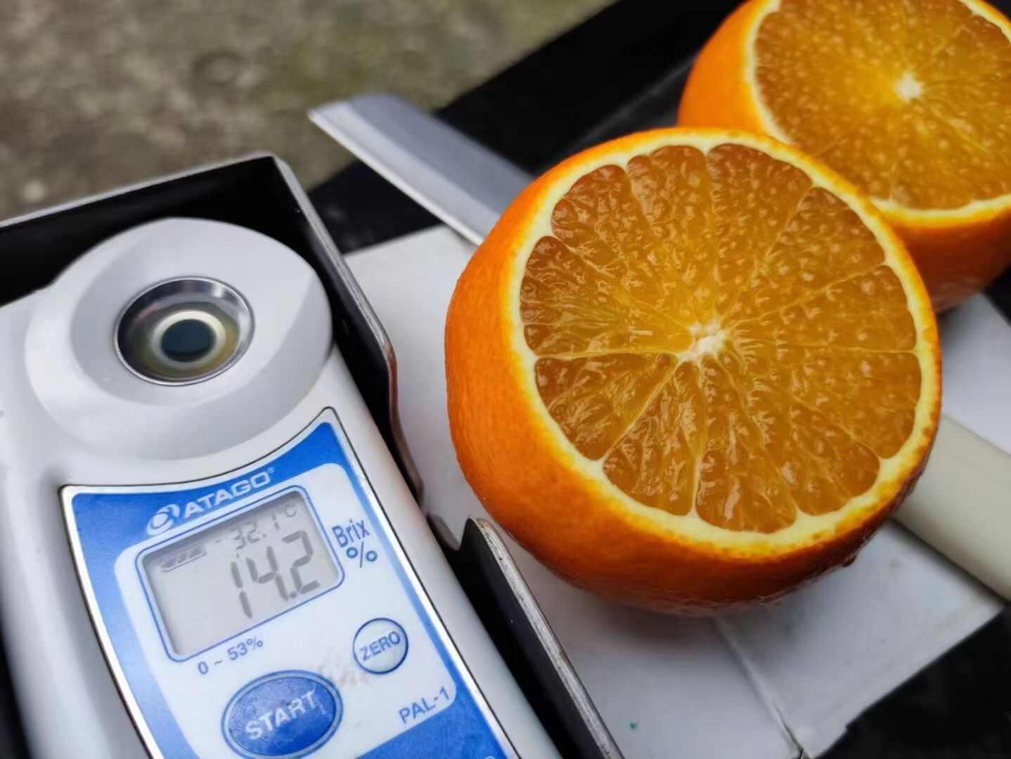 爱媛橙/耙耙柑等，量大。皮张好看，甜度足