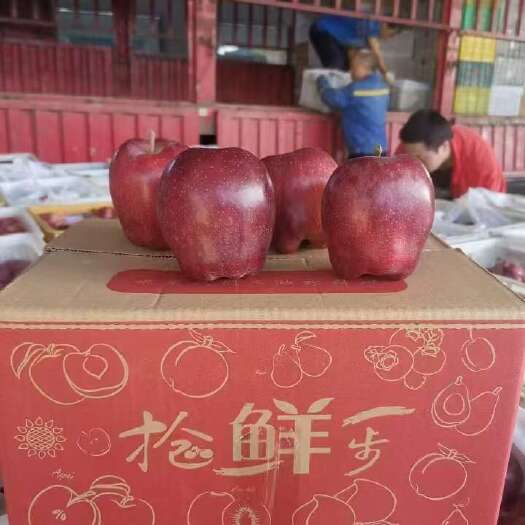 天水花牛苹果电商一件发货 24小时揽收发货 日出10000+