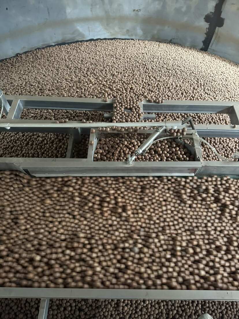 云南临沧夏威夷果 昆明发货 优质干果