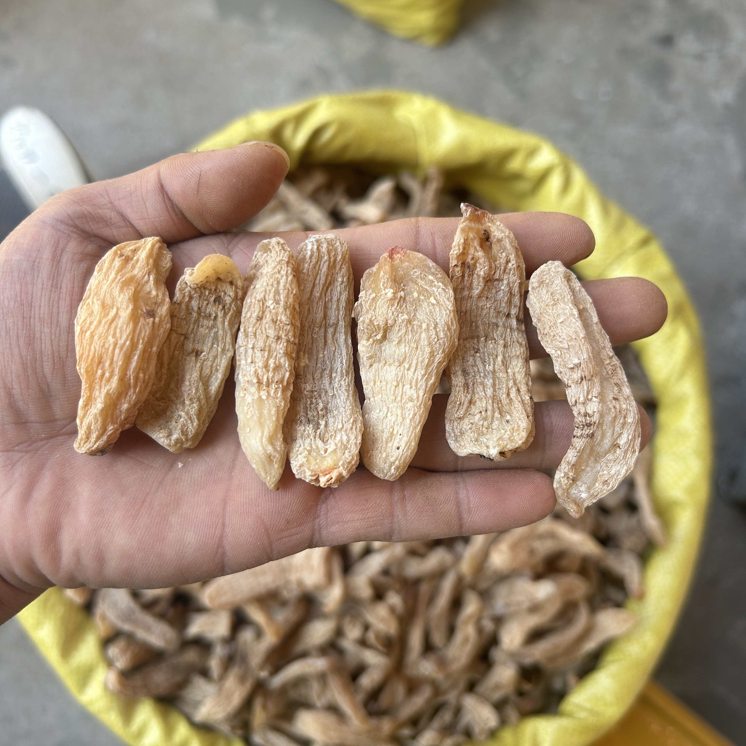 产地直销天麻各种规格一斤也是批发价