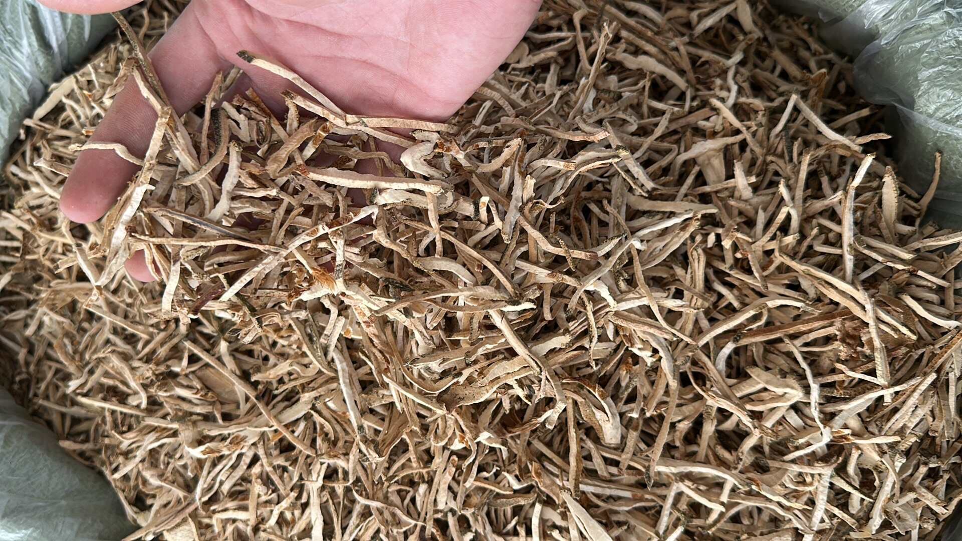 香橼丝无硫量大优惠电话联系新货