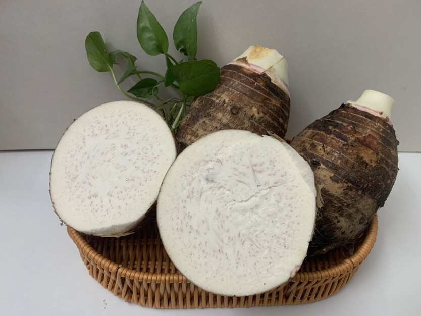 精品芋广西芋头槟榔芋韶关芋头大芋800-1000克代发批发