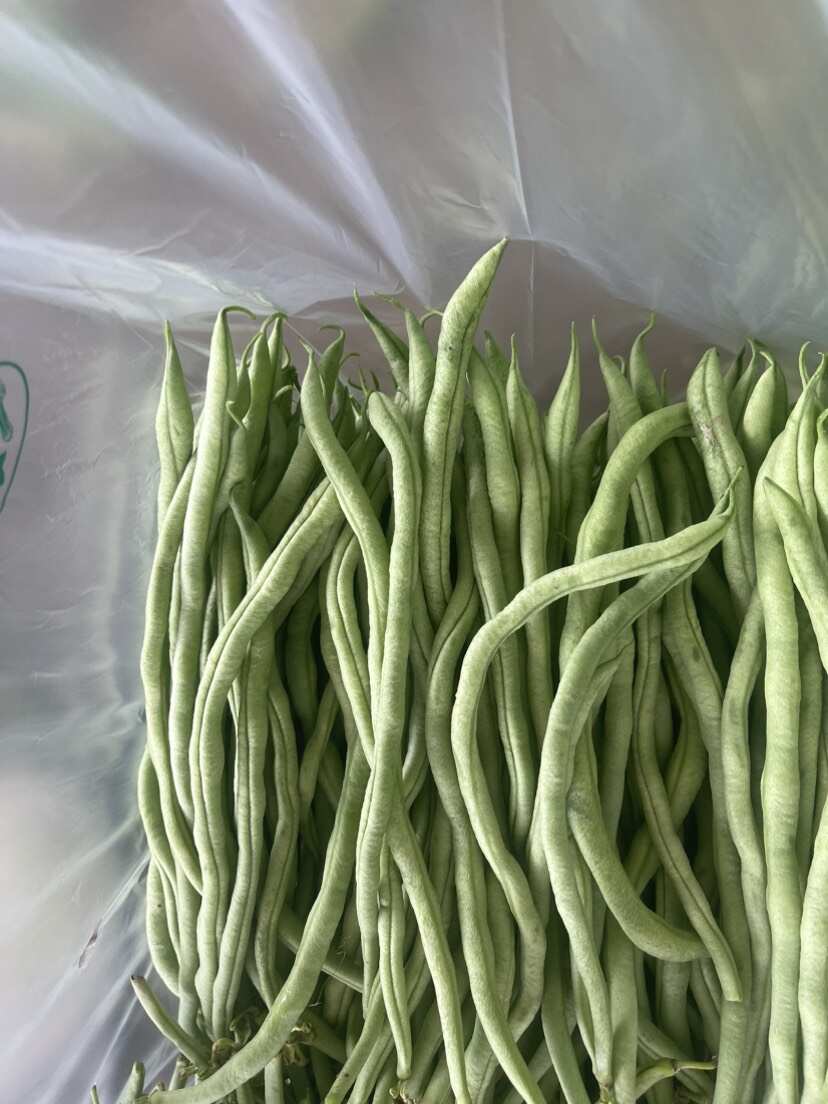 各级无筋豆，质量保证，长期稳定供应