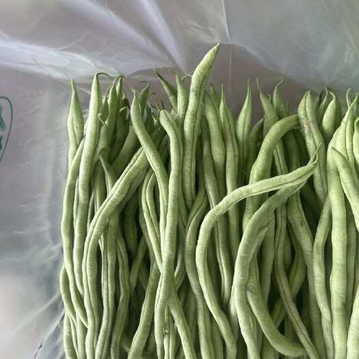 各级无筋豆，质量保证，长期稳定供应