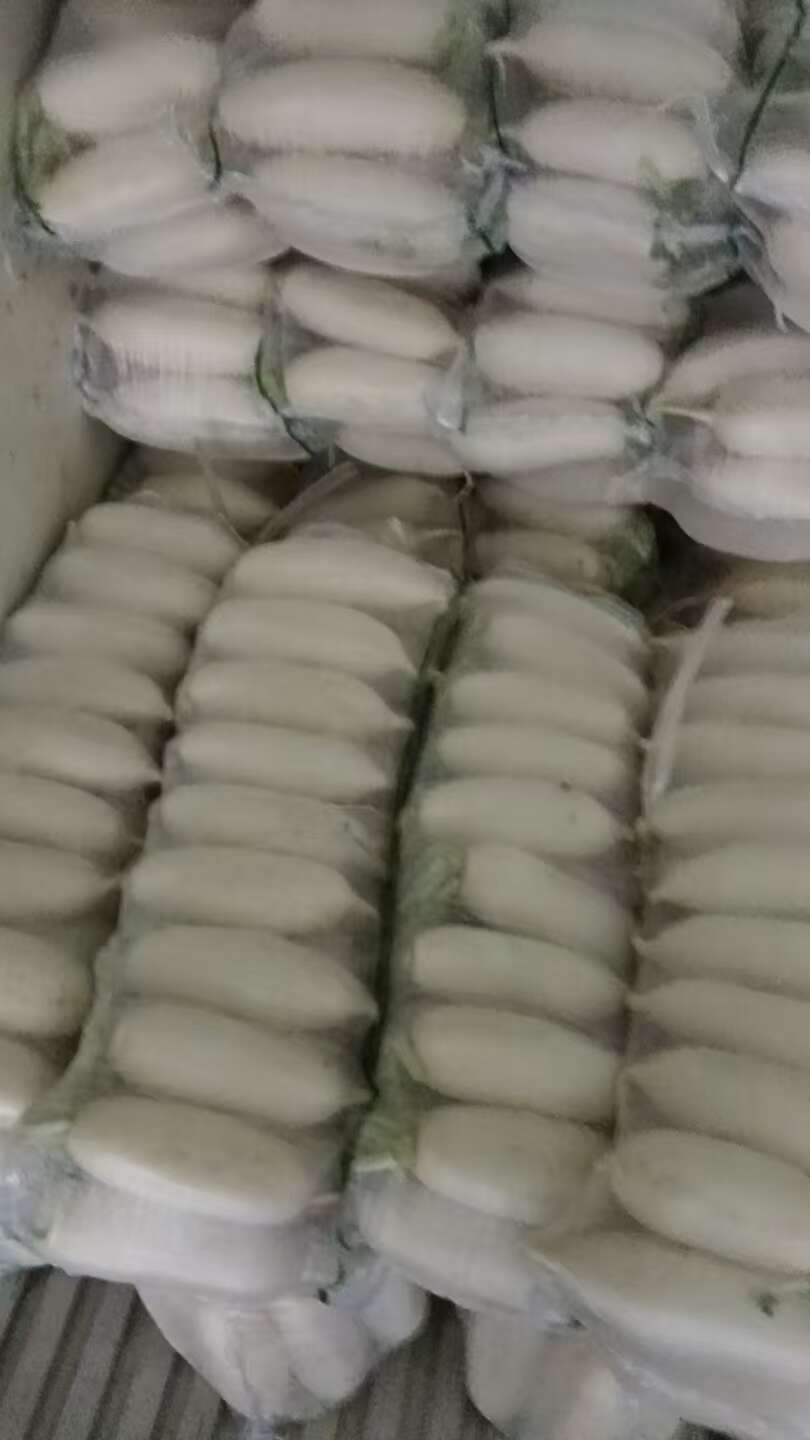 白萝卜，湖北白萝卜大量上市，欢迎联系