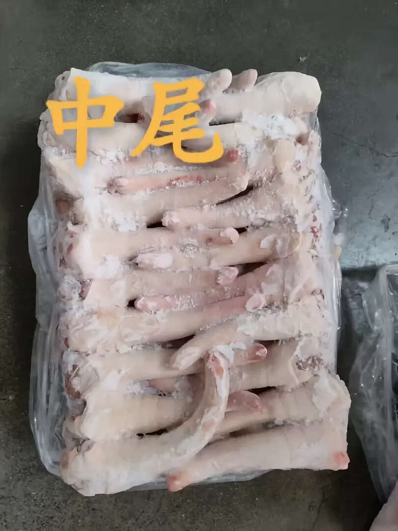 猪副产品 中长短猪尾巴 新鲜冷冻 胶质满满