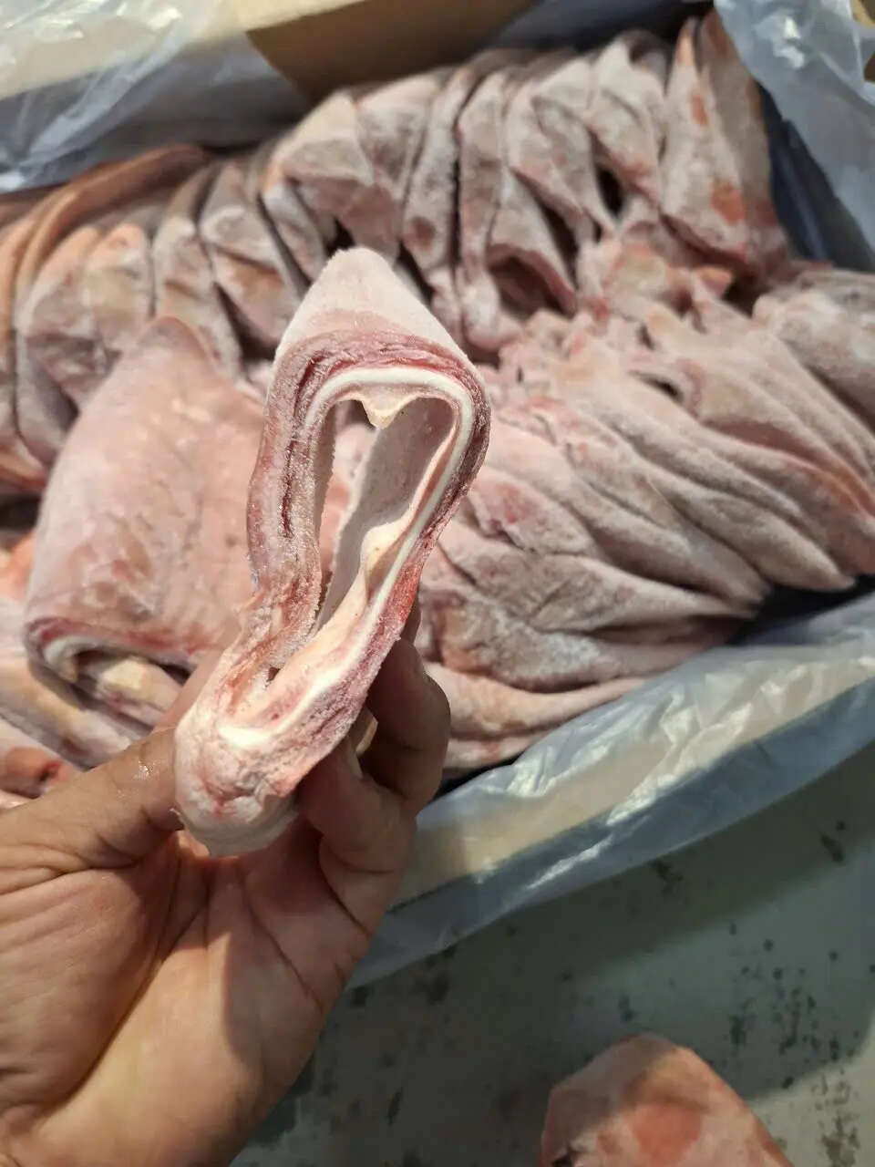猪副产品 新鲜冷冻 爽脆可口 卤拌烧烤 胶质丰富