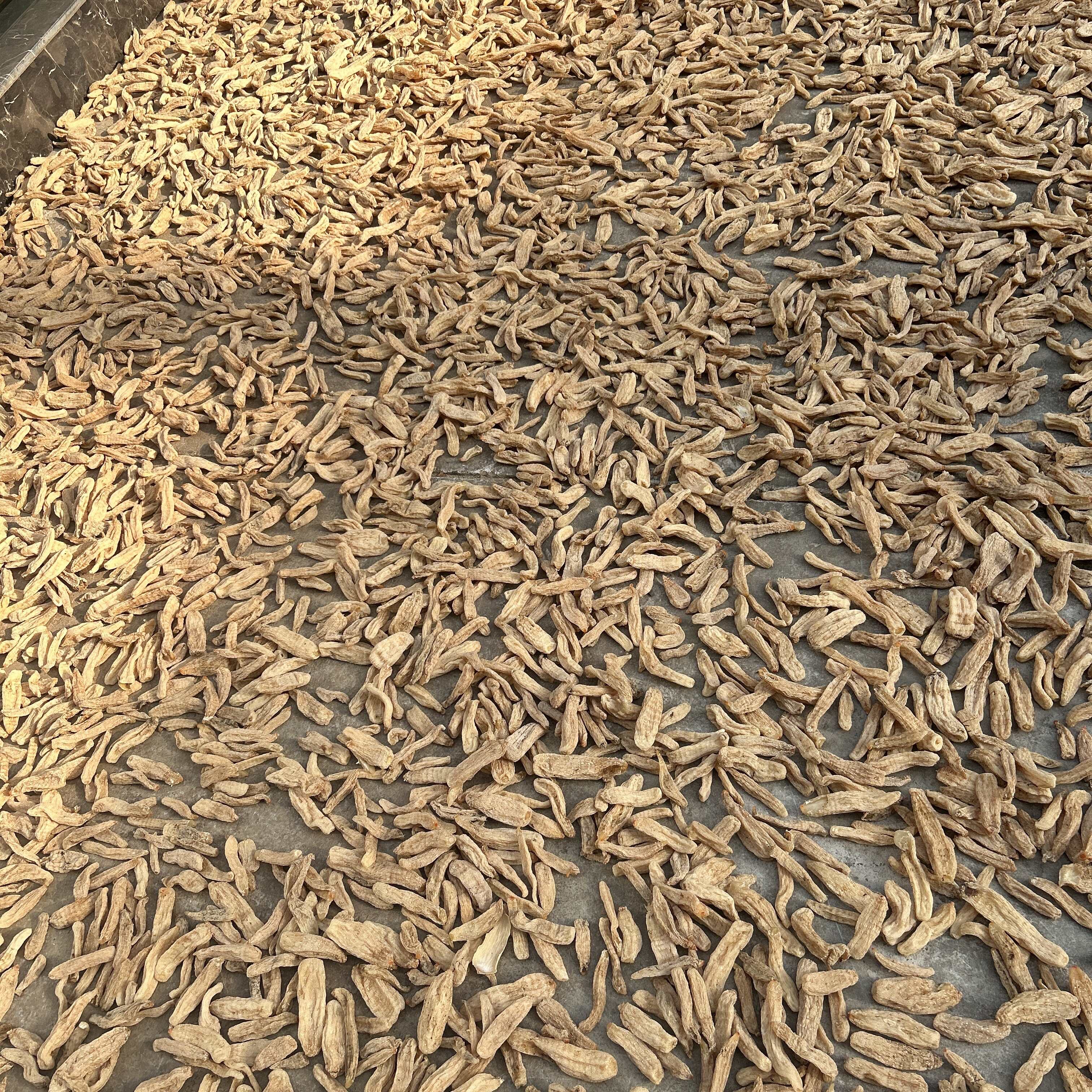 产地直销天麻各种规格一斤也是批发价