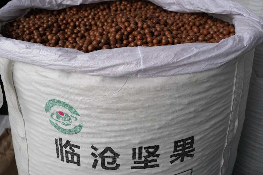 云南临沧夏威夷果 昆明发货 优质干果