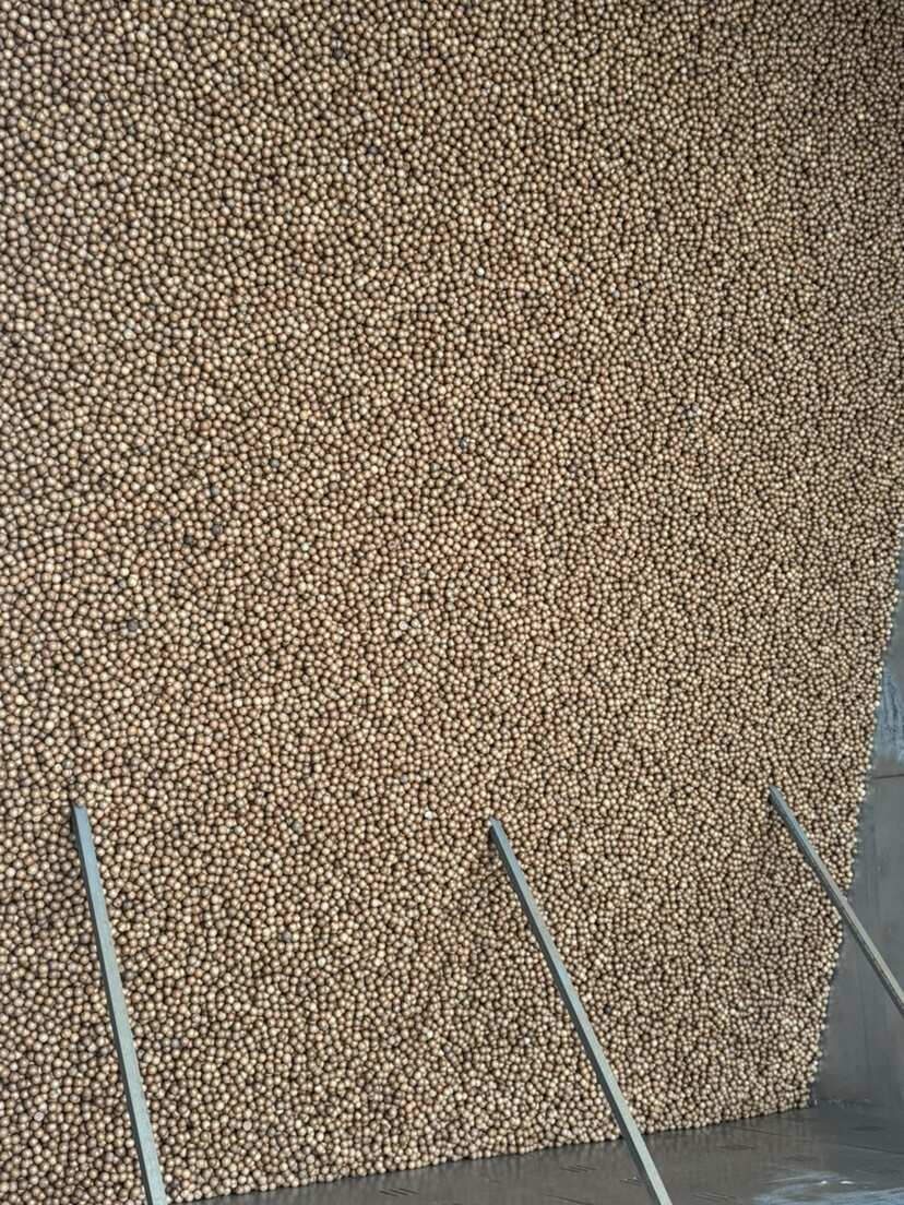 云南临沧夏威夷果 昆明发货 优质干果