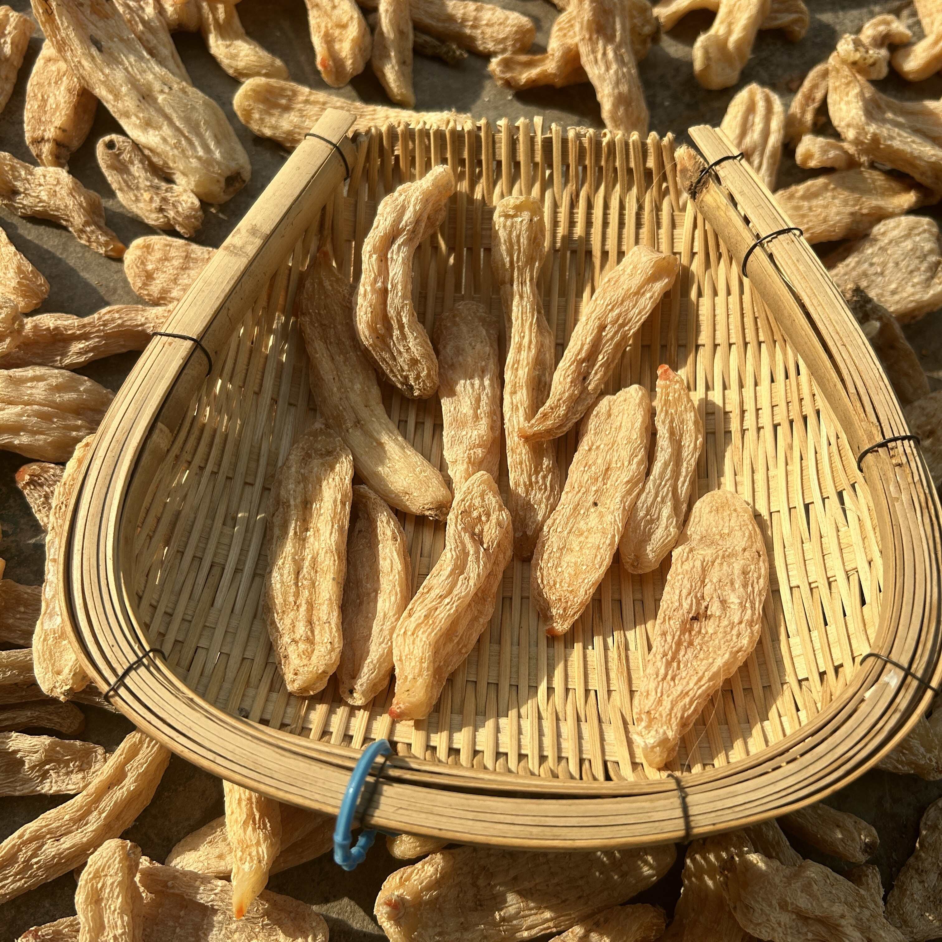 产地直销天麻各种规格一斤也是批发价