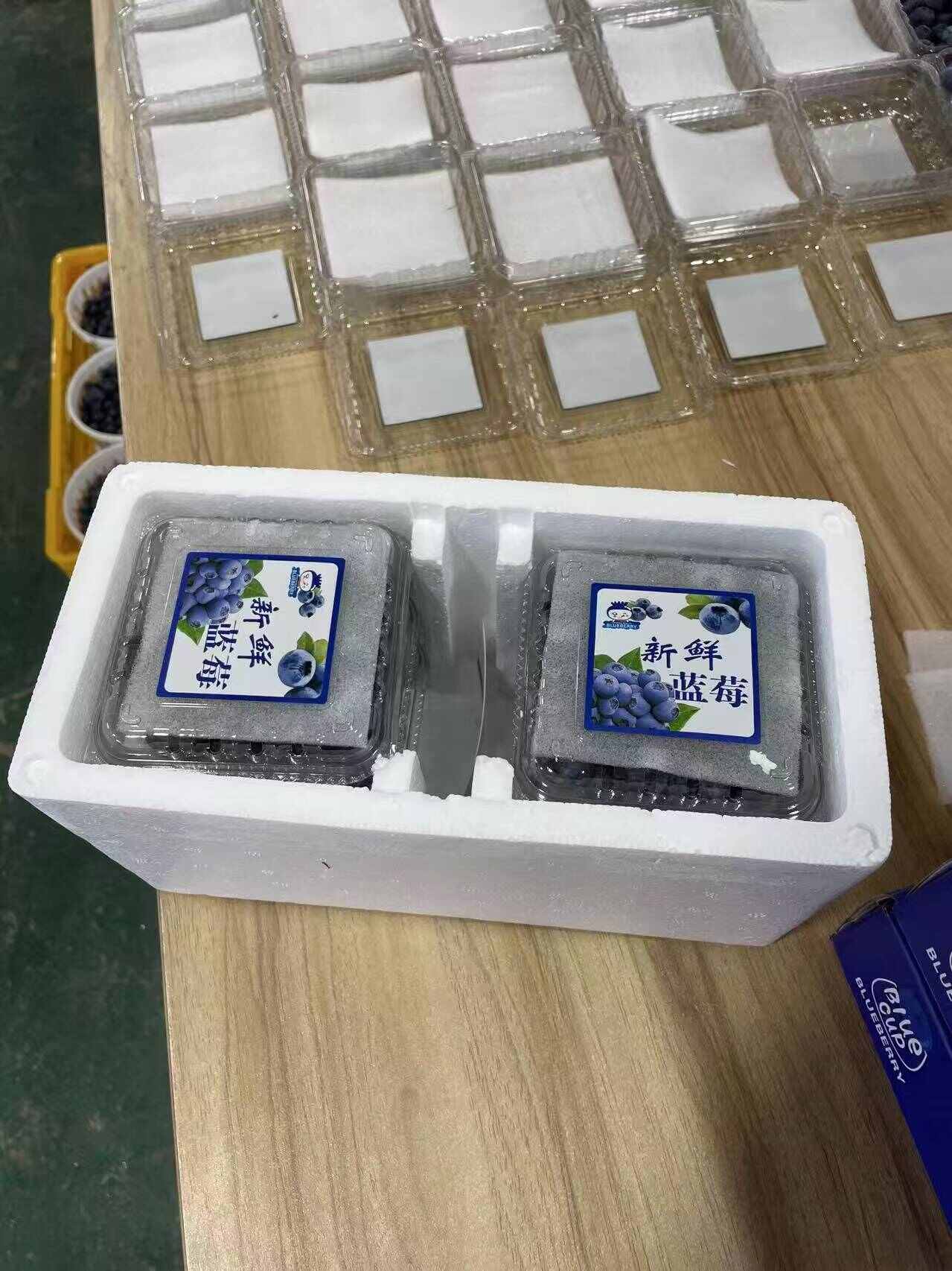 云南经典蓝莓顺丰空运香甜美味电商一件代发全渠道对接