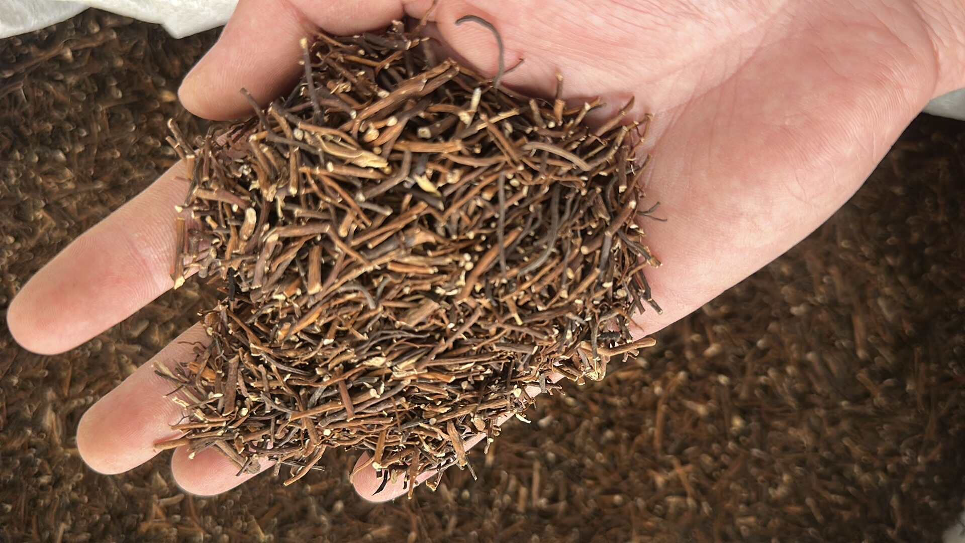 威灵仙正品水洗无硫纯根量大优惠