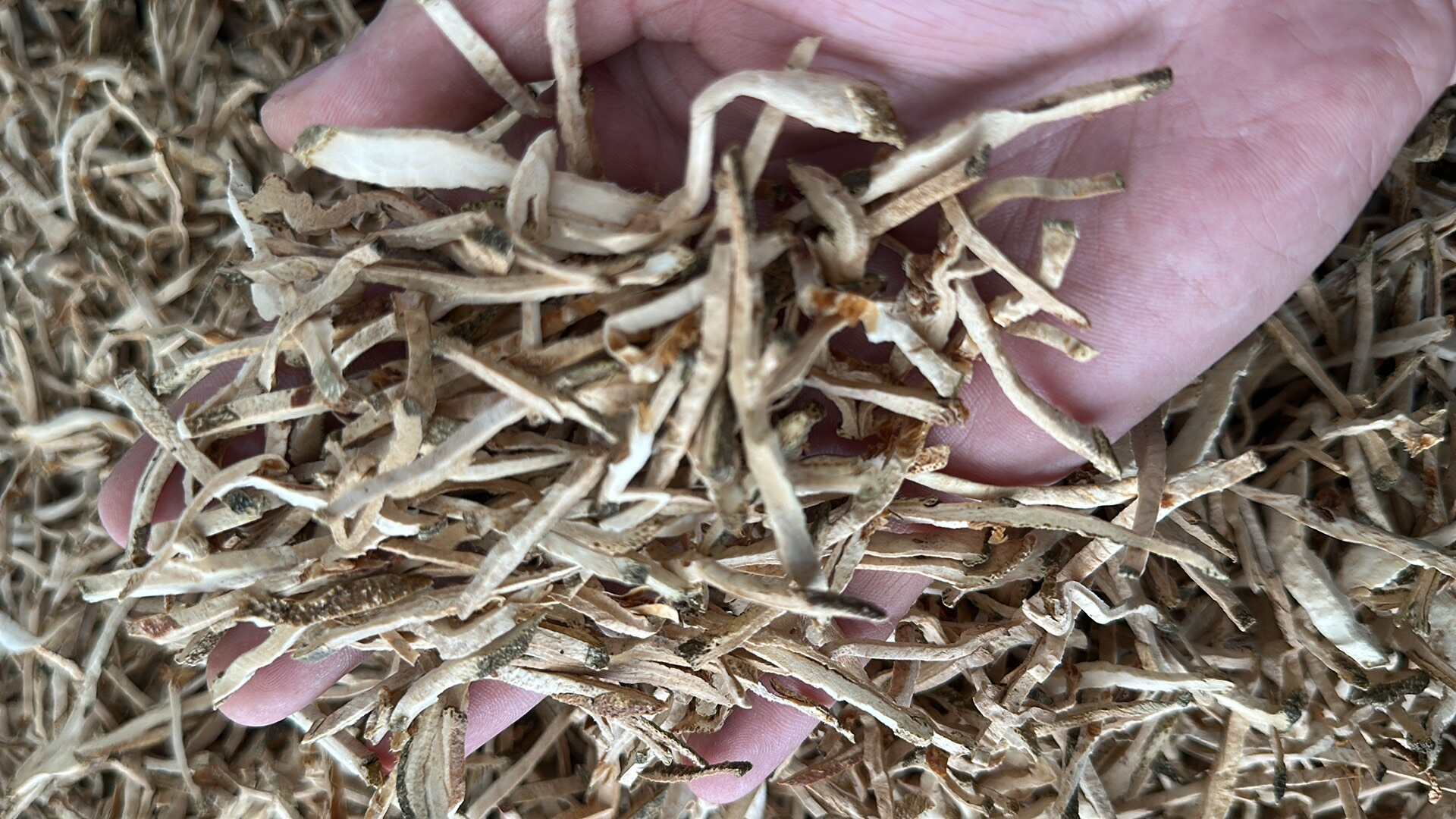 香橼丝无硫量大优惠电话联系新货