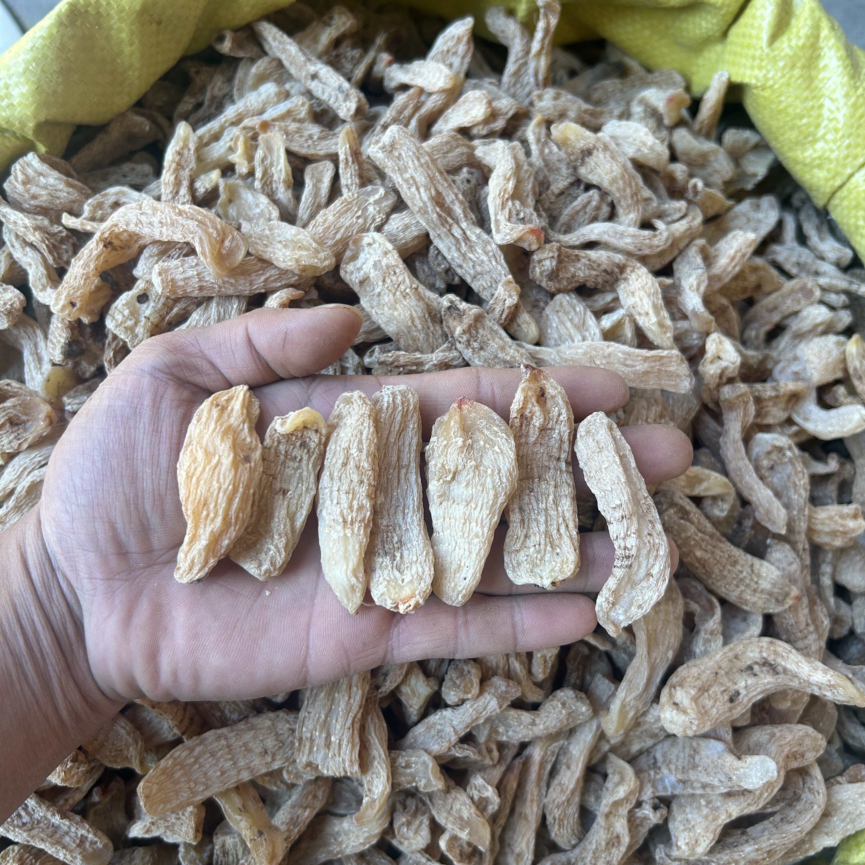 产地直销天麻各种规格一斤也是批发价