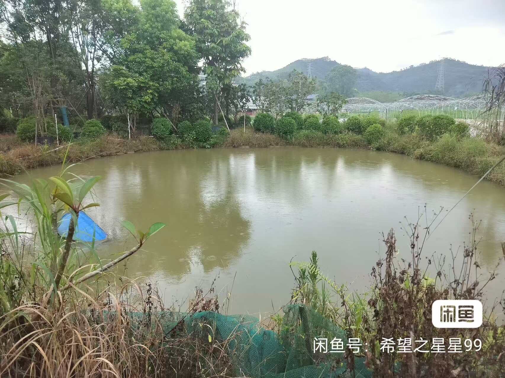 苗圃、花木场、农场、农家院转让，一共4.07亩地（可以增减）
