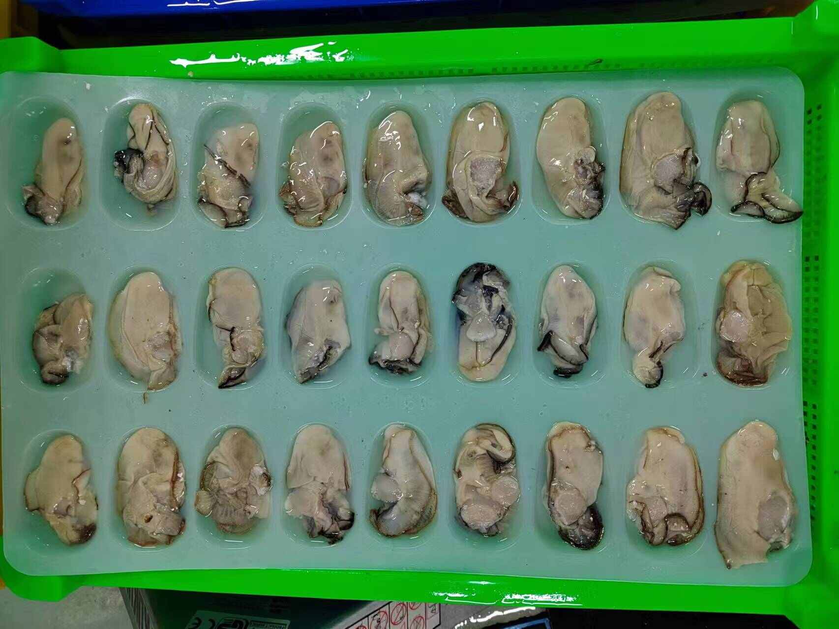 原汁冻半壳乳山生蚝/生蚝肉
