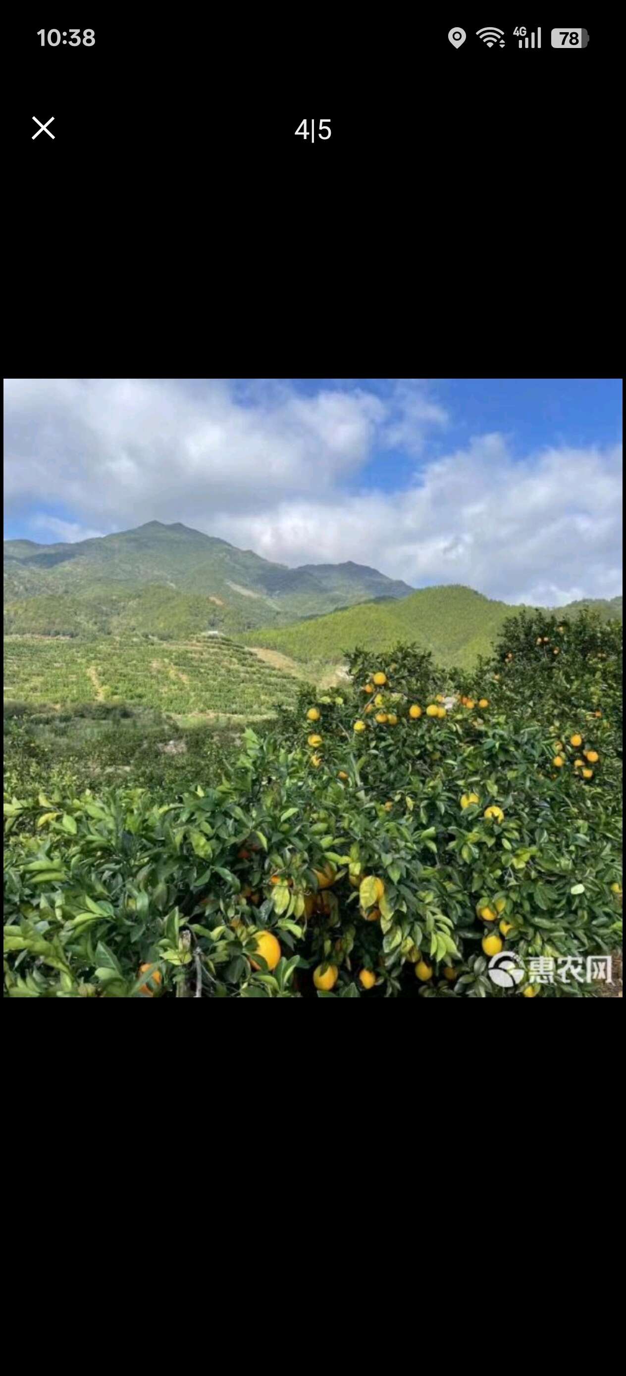 赣南脐橙自家果园一件代发批发零售