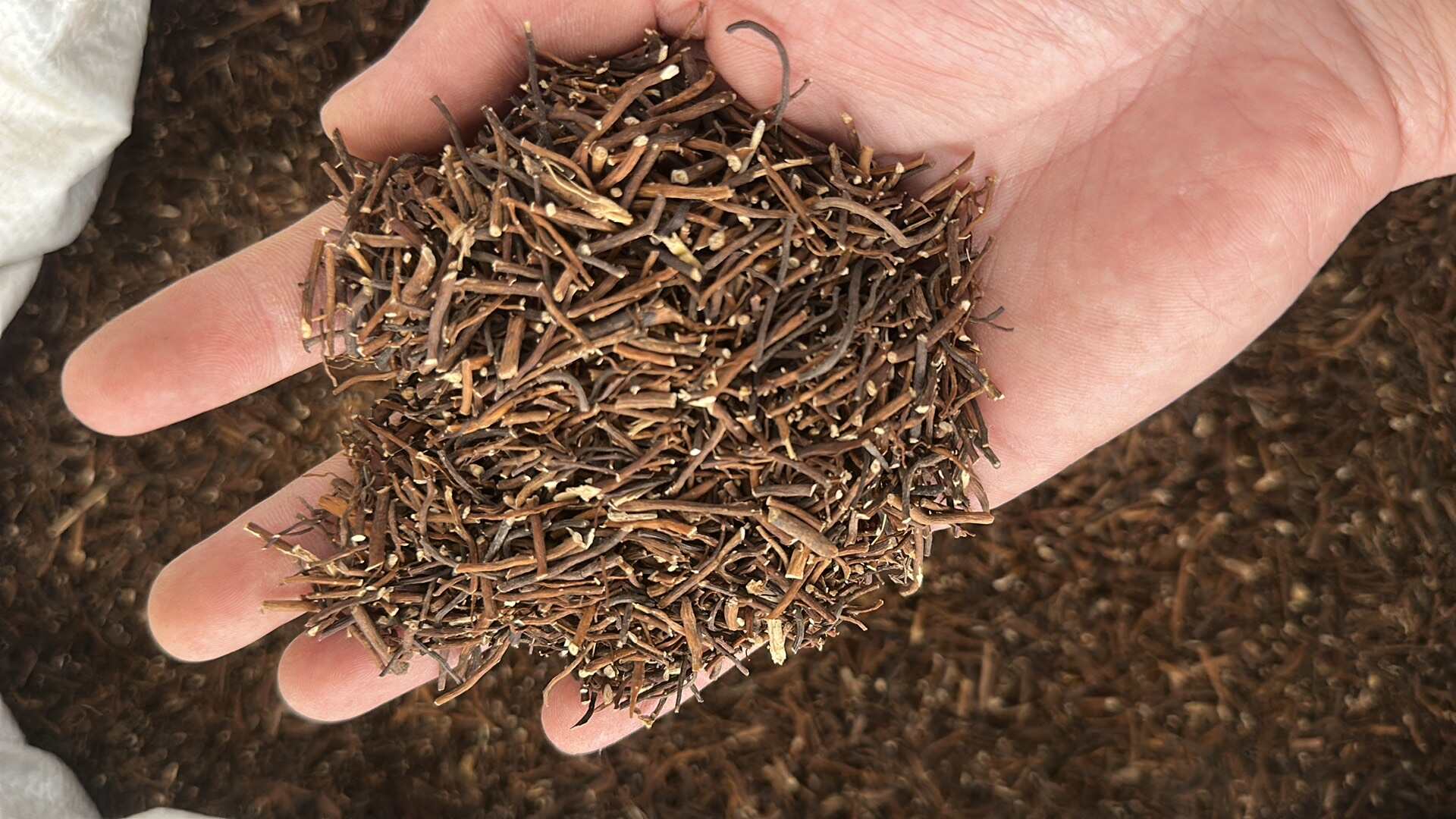 威灵仙正品水洗无硫纯根量大优惠