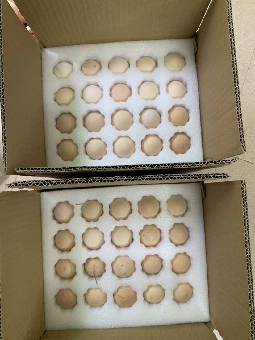 农家土鸡蛋￼ 农村散养走地土鸡蛋。￼